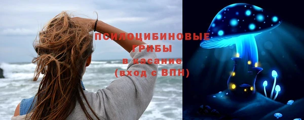 индика Снежногорск