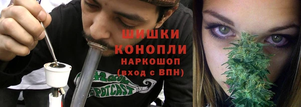 сатива Сосновоборск